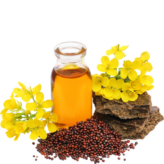 POORNA Wood-Pressed Mustard Oil | 100% Pure, Natural, and Unfiltered Oil