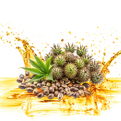 POORNA Cold-Pressed Castor Oil | 100% Pure, Natural, and Unfiltered Oil